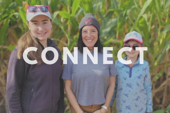 Connect 
